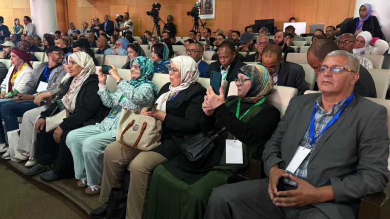 WhatsApp Image 2026 04 30 at 08.30.55 scaled