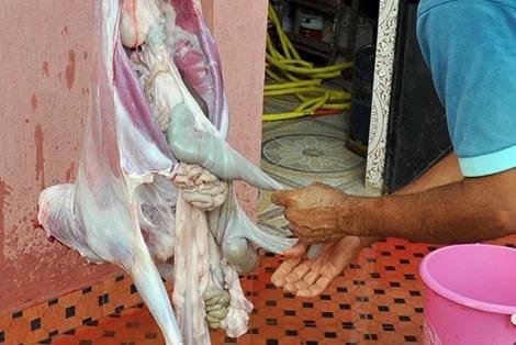 Pour préserver la qualité de la viande… l’ONSSA précise la durée de suspension de la carcasse après le sacrifice 1 WhatsApp Image 2026 05 25 at 14.14.58