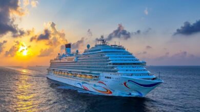 Première en Chine : une croisière sans arrêt dans aucun port 3 WhatsApp Image 2026 06 08 at 09.32.06