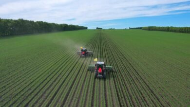 Pour améliorer la qualité de la production : le taux de mécanisation agricole atteint 99,28 % dans le nord-est de la Chine 6 WhatsApp Image 2026 06 17 at 11.29.27