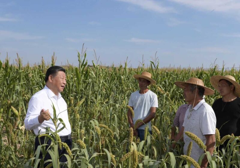 Xi Jinping réaffirme son engagement au service du peuple chinois : un parcours du terrain à la conduite de la Chine vers le développement et la prospérité 2 WhatsApp Image 2026 06 18 at 12.45.09 1 scaled