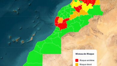 Risque d’incendies de forêts : l’ANEF place 12 provinces en alerte maximale du 6 au 12 juillet 2 WhatsApp Image 2026 07 05 at 15.07.00 1