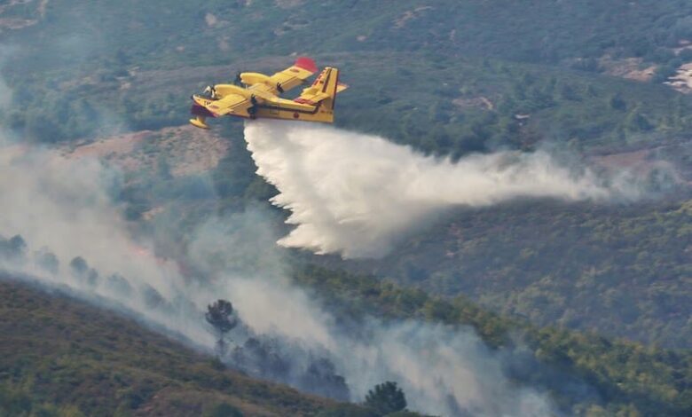 Incendies de forêt au Maroc : malgré une hausse de 32 % des départs de feu, les superficies brûlées reculent à 1.850 hectares, renforçant la résilience du Royaume 1 WhatsApp Image 2026 07 21 at 17.28.49