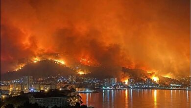 Farhat Mehenni : La Kabylie face seule aux incendies de forêt 5 WhatsApp Image 2026 07 24 at 12.30.37