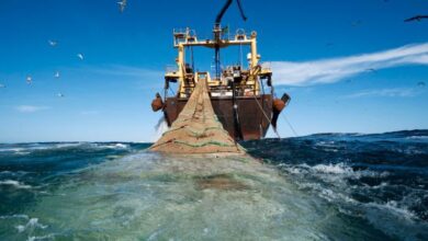 Le Maroc relève ses exigences dans le dossier de la pêche maritime : priorité à la richesse nationale et à la souveraineté maritime 8 WhatsApp Image 2026 08 14 at 23.01.20