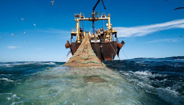 Le Maroc relève ses exigences dans le dossier de la pêche maritime : priorité à la richesse nationale et à la souveraineté maritime 1 WhatsApp Image 2026 08 14 at 23.01.20