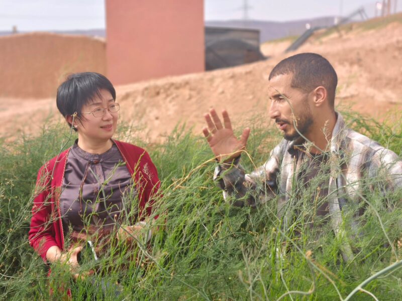 L’ambassadrice de Chine au Maroc découvre les atouts de la région de Guelm-Oued Noun et explore de nouvelles opportunités de partenariat 5 WhatsApp Image 2026 08 21 at 18.33.221 scaled