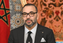 sm le roi 1 11 508x300 jpg