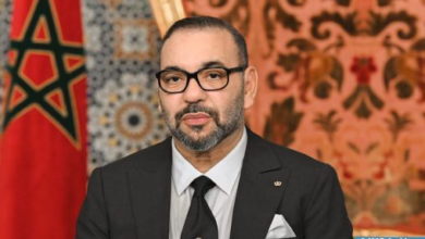 sm le roi 1 11 508x300 jpg
