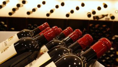 Loi de finances 2027 : hausse des taxes sur les cigarettes électroniques, le vin et la bière 5 WhatsApp Image 2026 10 24 at 12.57.32